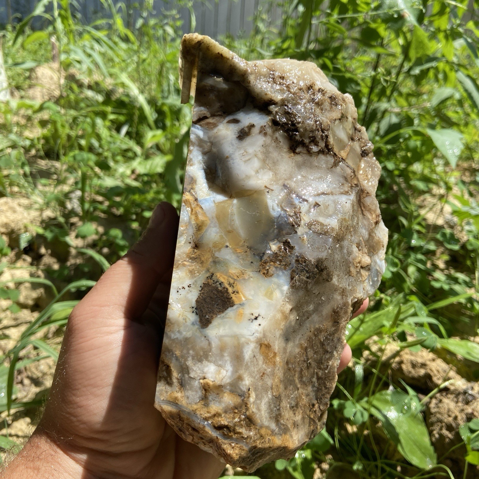 Massive Plume Agate Rough Lapidary Stone 5 Pounds