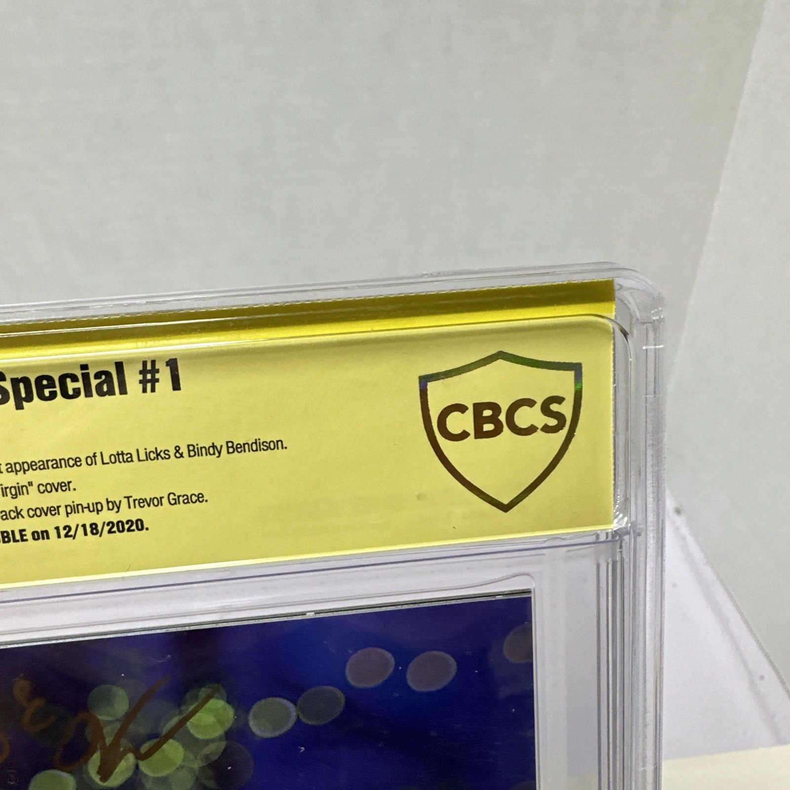 Roxy’s Summer Special CBCS 9.9 Signed Jim Noble 2020 Totally Rad Comics #1 A0