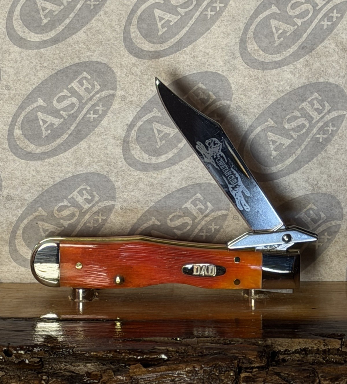 Case XX USA 2026 Barnboard Tequila Sunrise DAD 13363 Cheetah Cub, Sold Out