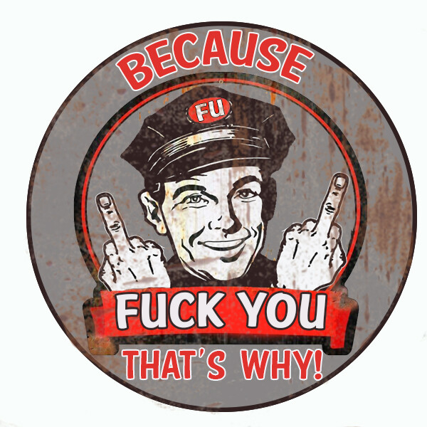 BECAUSE F””K YOU HOT ROD BUMPER GUNS LAPTOP DECAL TOOLBOX STICKER FUNNY