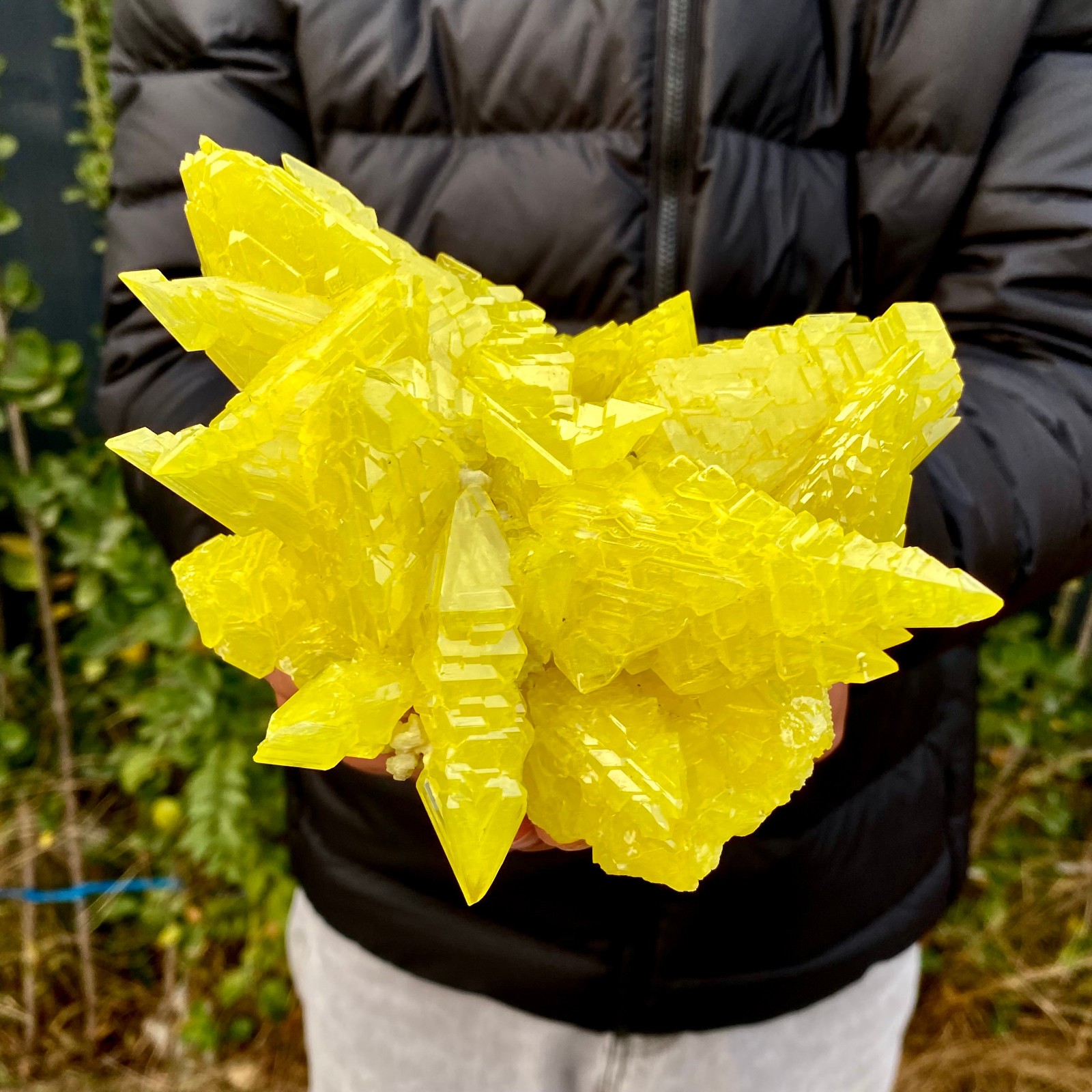 1.4LB Rare Natural yellow sulfur crystal quartz crystal mineral specimen