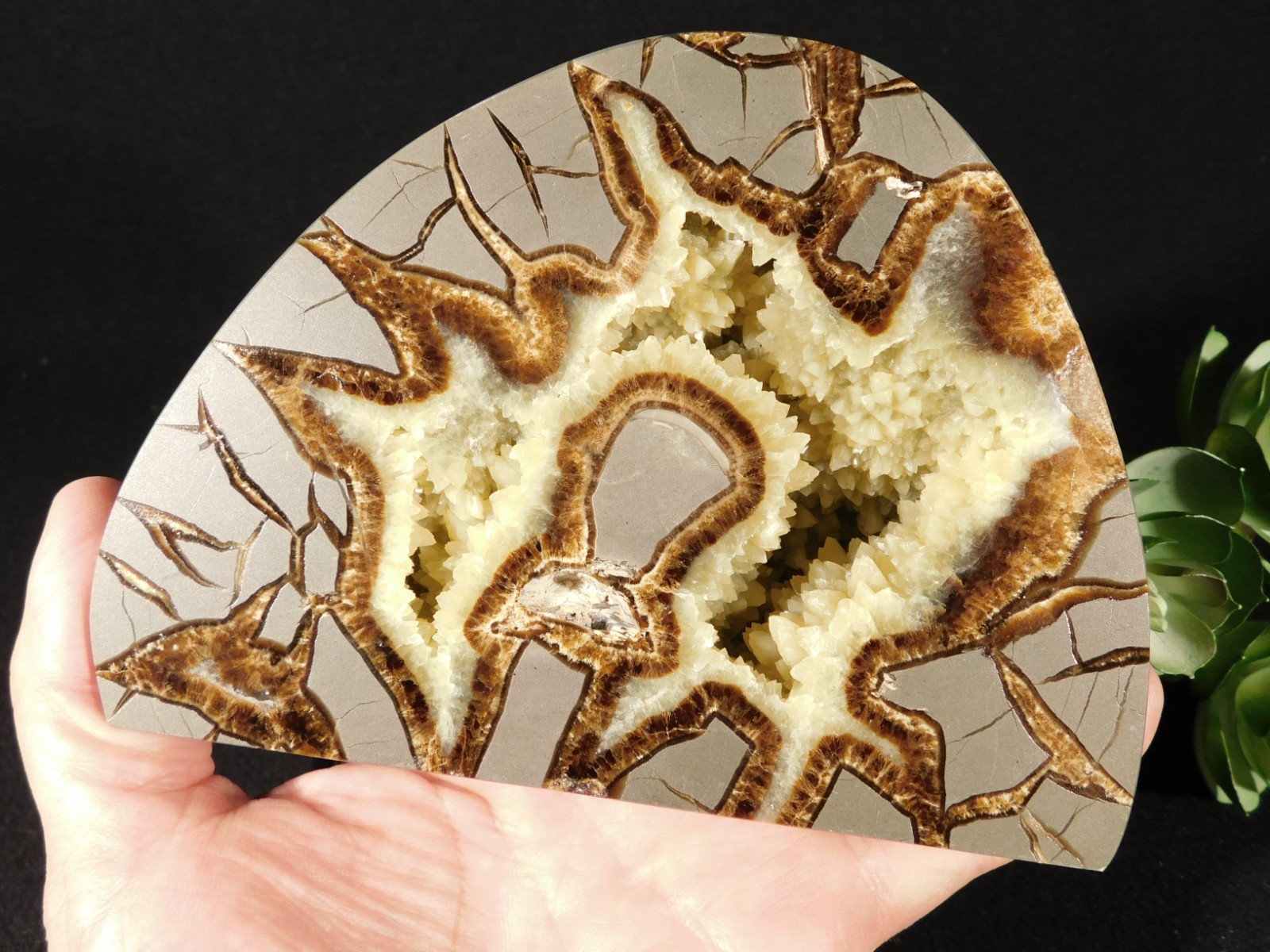 Larger! Polished AAA Crystal Filled Septarian GEODE FREE Standing Utah 852gr