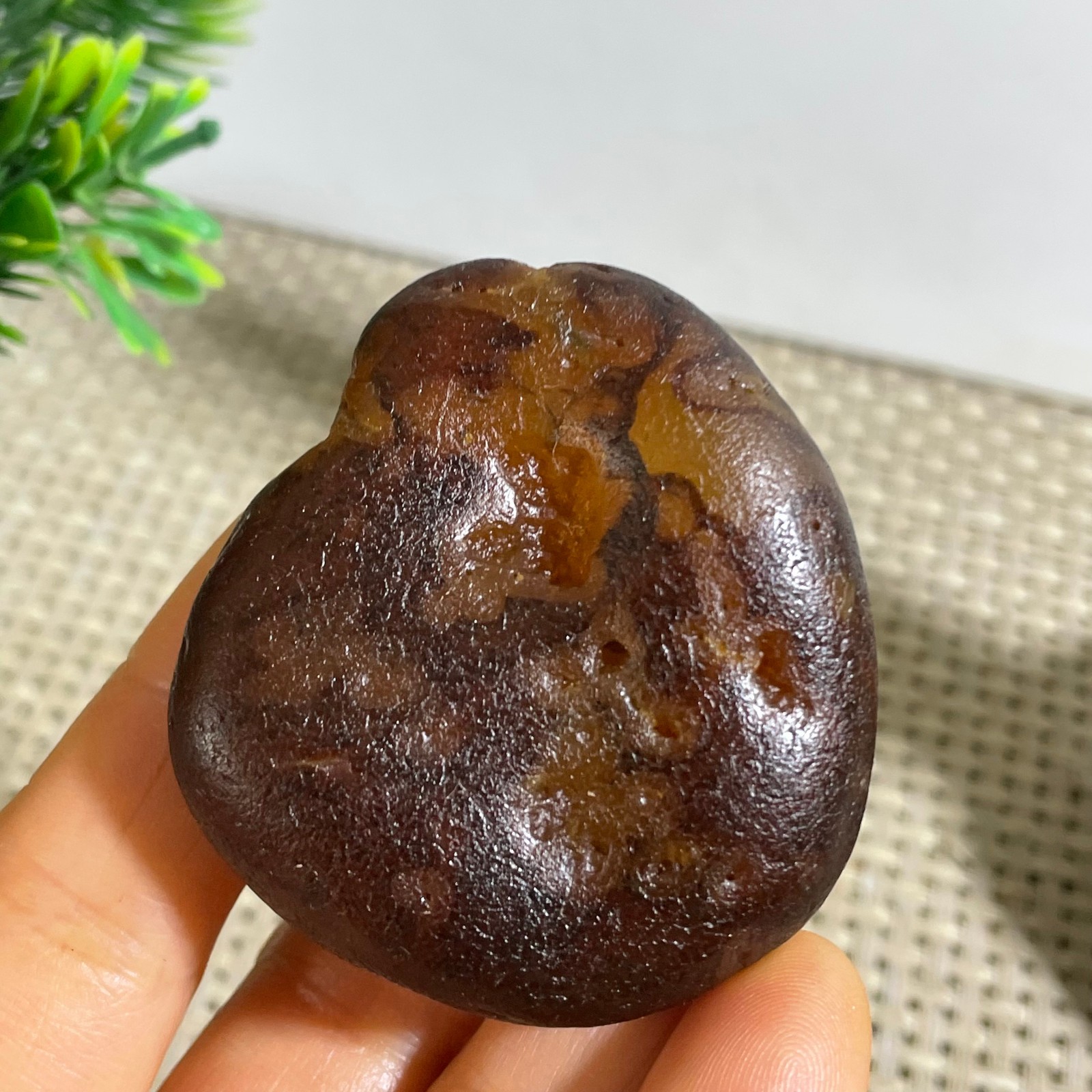 61g Bonsai Suiseki- Gobi Agate Eyes Stone-Rare Stunning Viewing