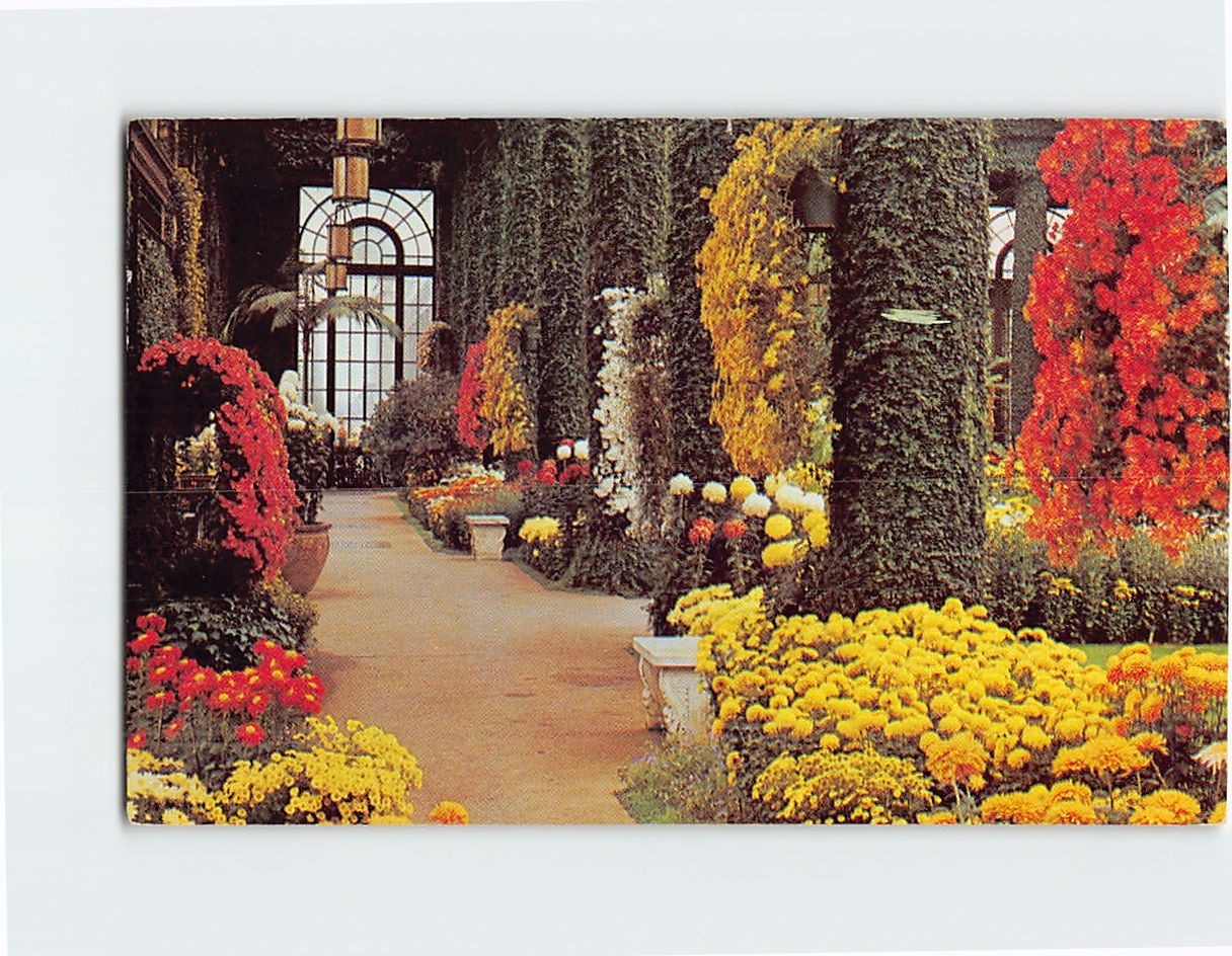 Postcard Main Conservatory Longwood Gardens Kennett Square Pennsylvania USA
