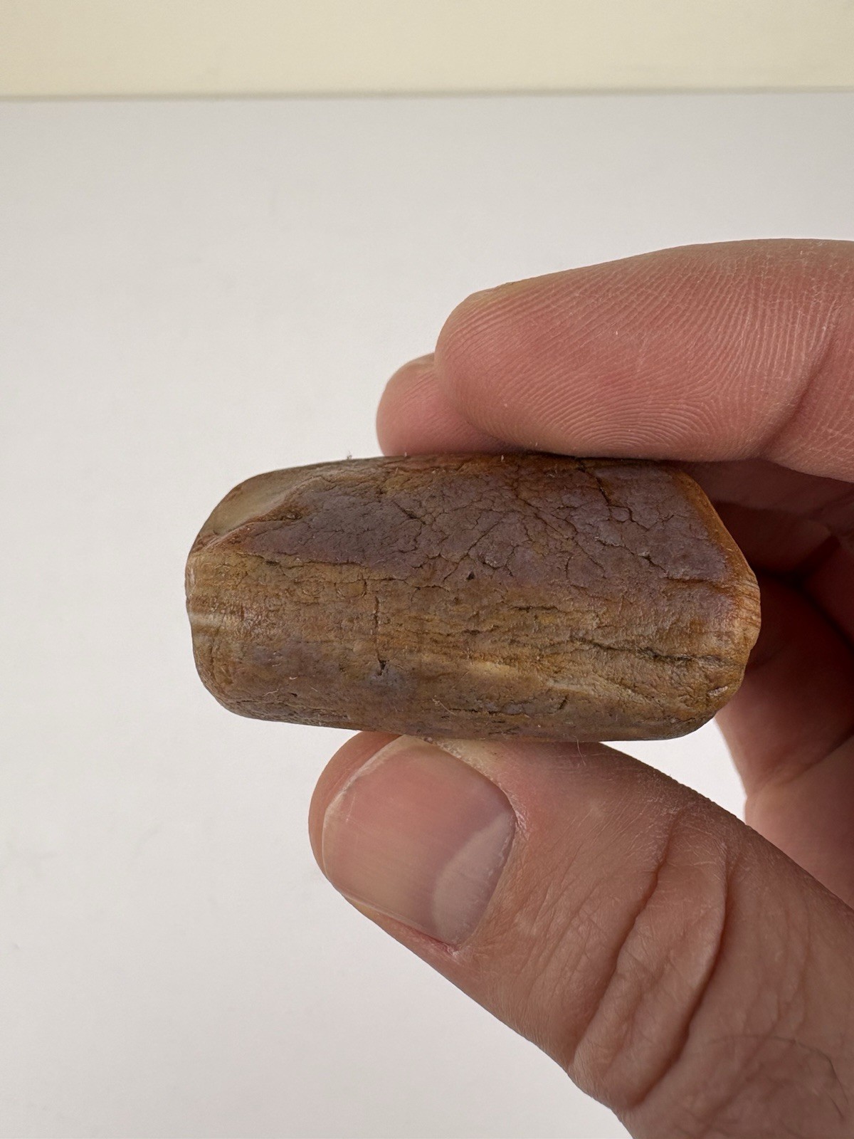 2.2 Ounce Water Level Fortification Lake Superior Agate