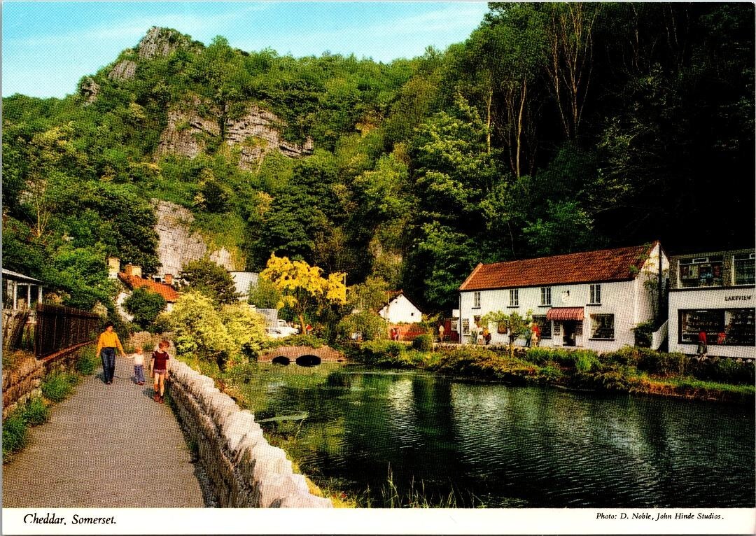Vintage Cheddar Someset, England Postcard