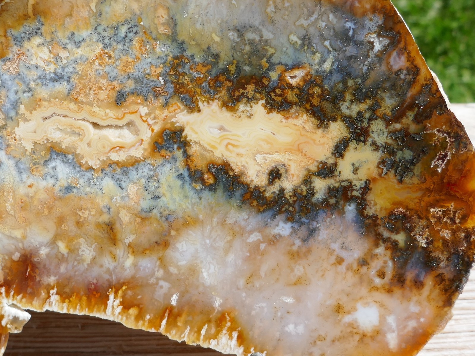 TCR Regency Rose Plume Agate *Polished Marcasite & Drusy Slab 293g | Oregon