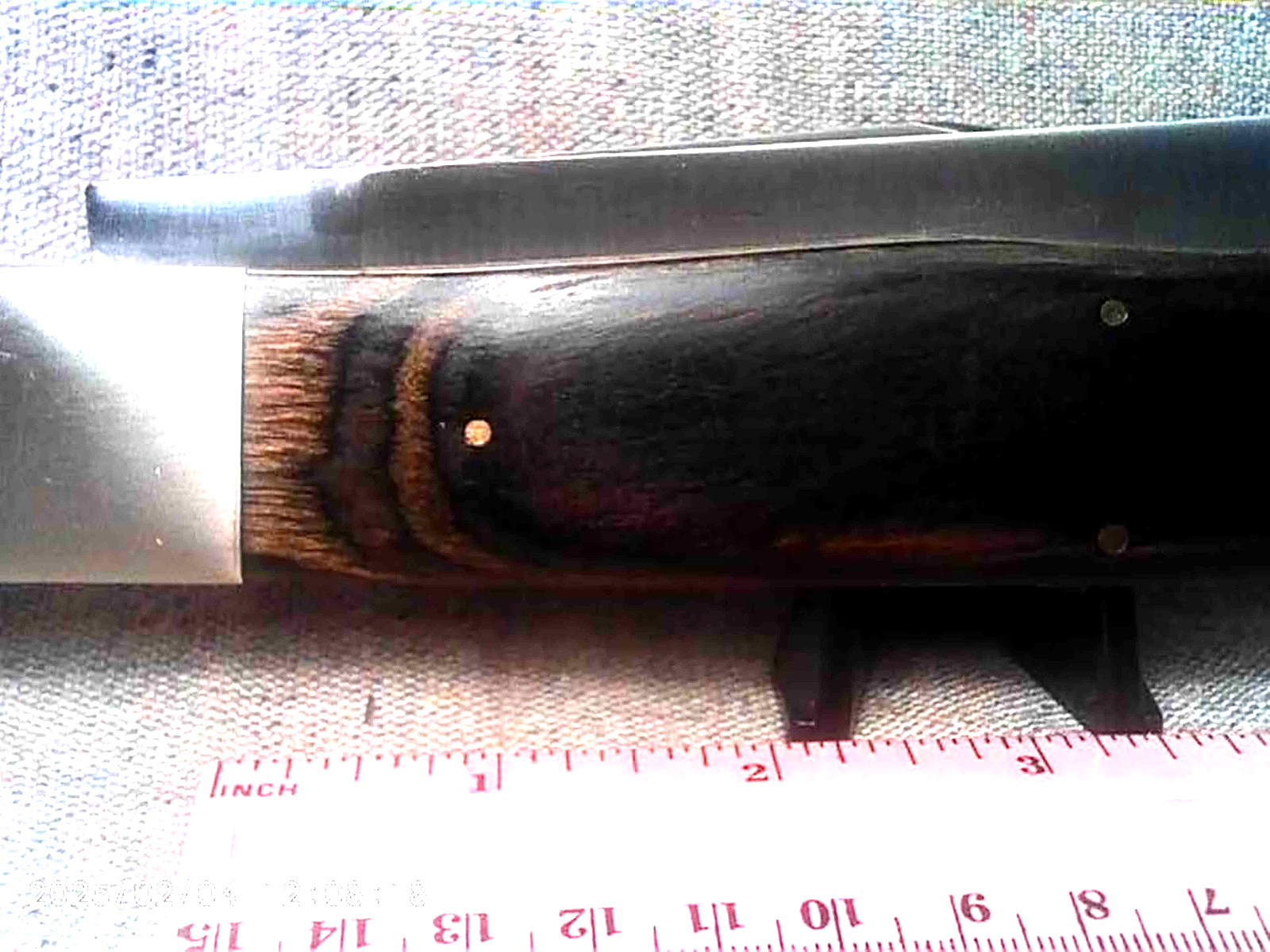 JUMBO DISPLAY KING TRAPPER KNIFE 8″ Dark Brown Hardwood Handles 2-German Blades