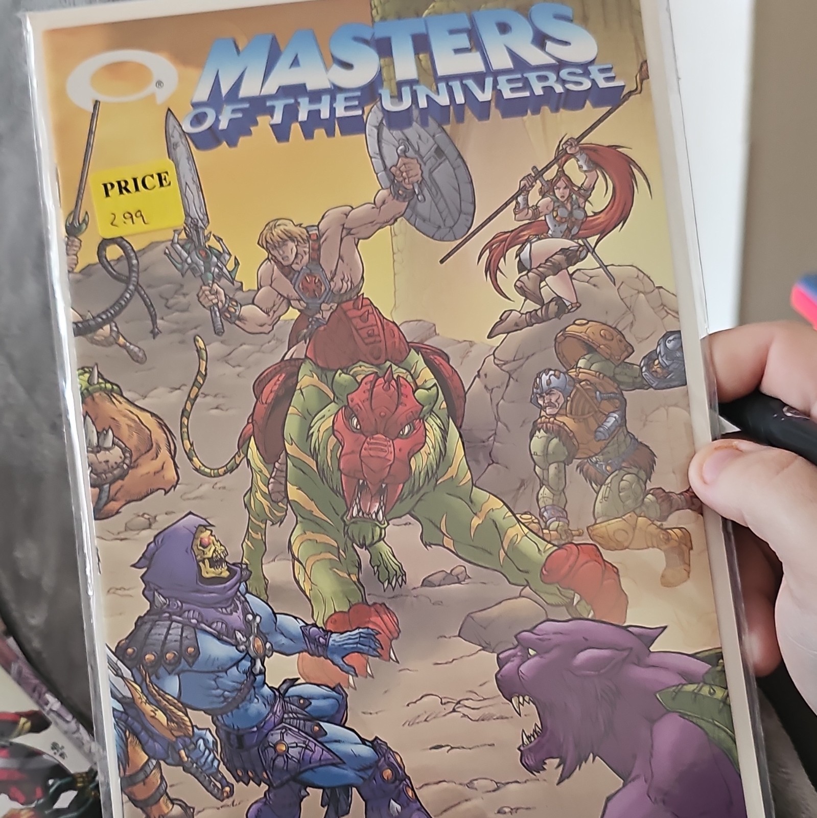 Masters of the Universe He-Man Skeletor Battle Cat Val Staples Color Comic