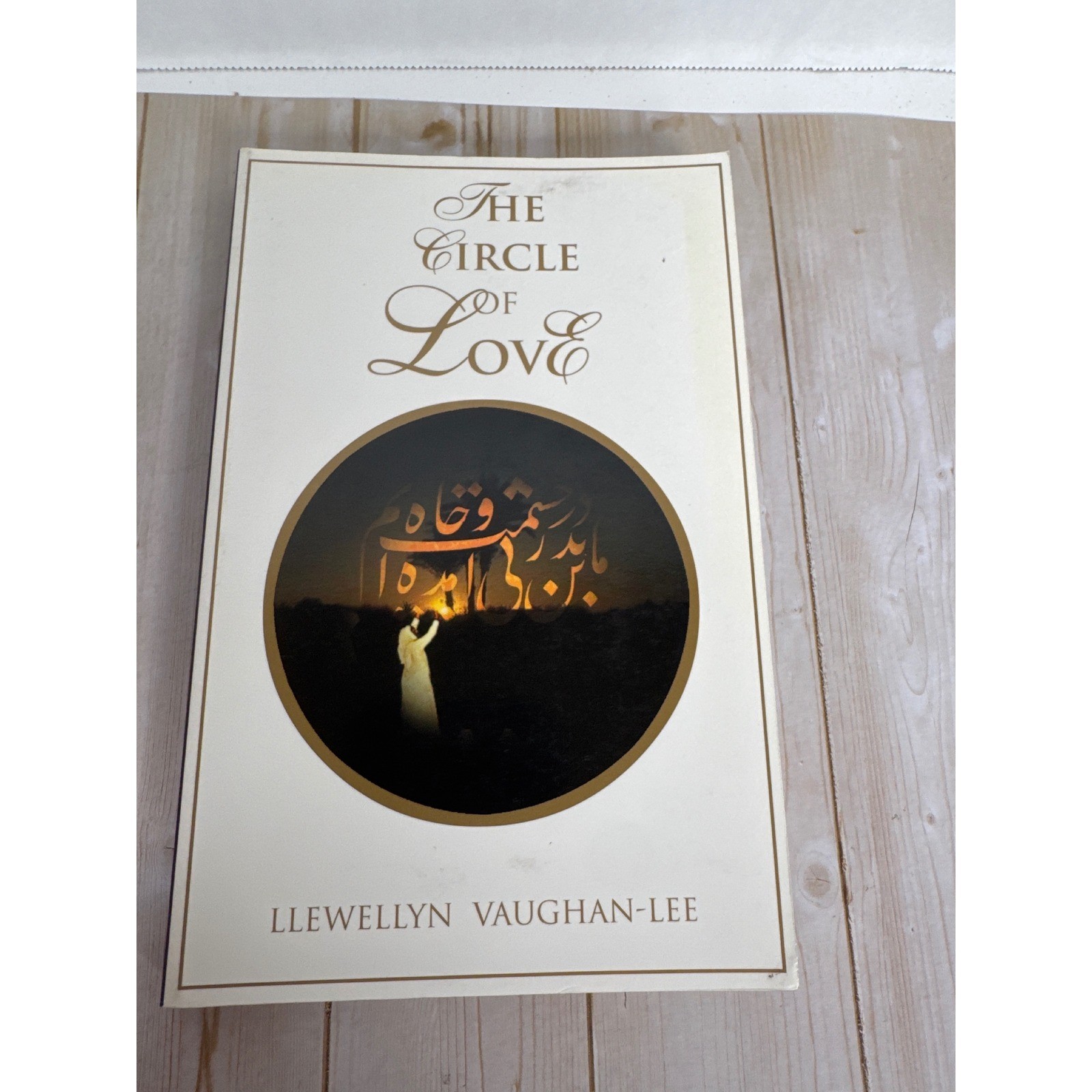 Meditation Spirituality Book Lot Everyday Meditation Buddha Dated Circle Love