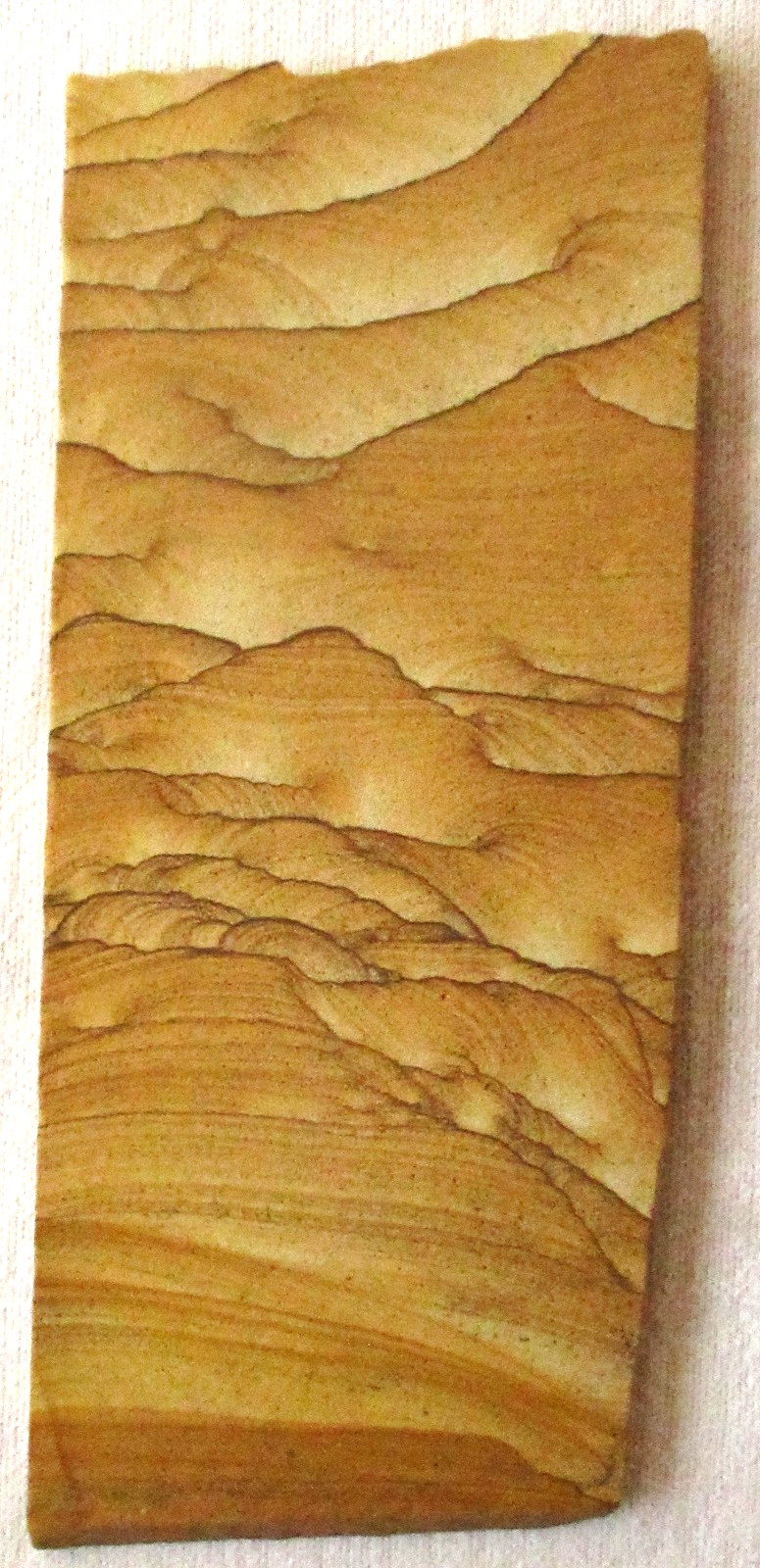 Picture Sandstone Slab – 346 Grams – Utah