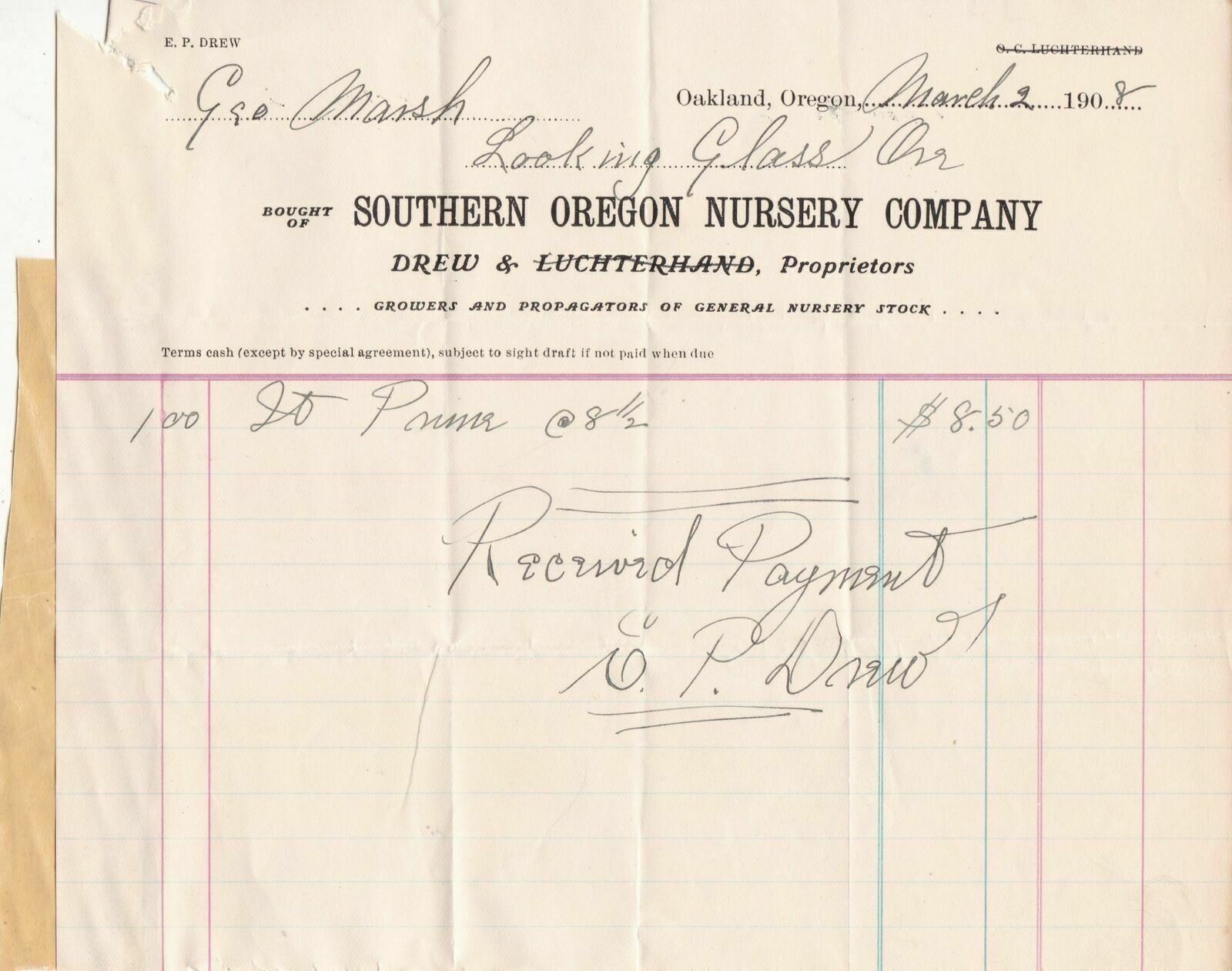 U.S. Southern Oregon Nursery Company Oakland 1908 Recd Payment Invoice Ref 42769