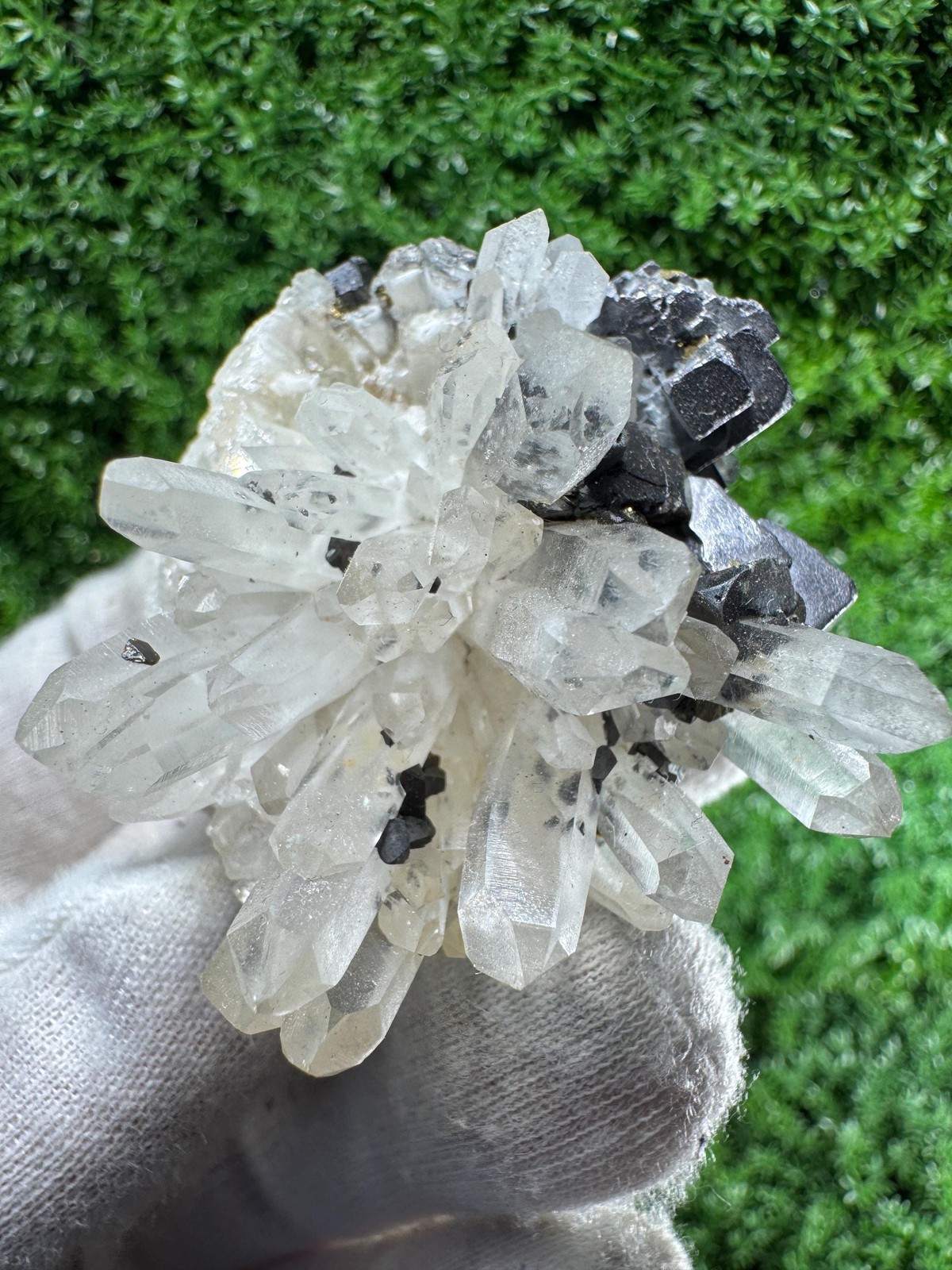 HIGH Grade Specimen of GALENA and QUARTZ Crystals! / N231