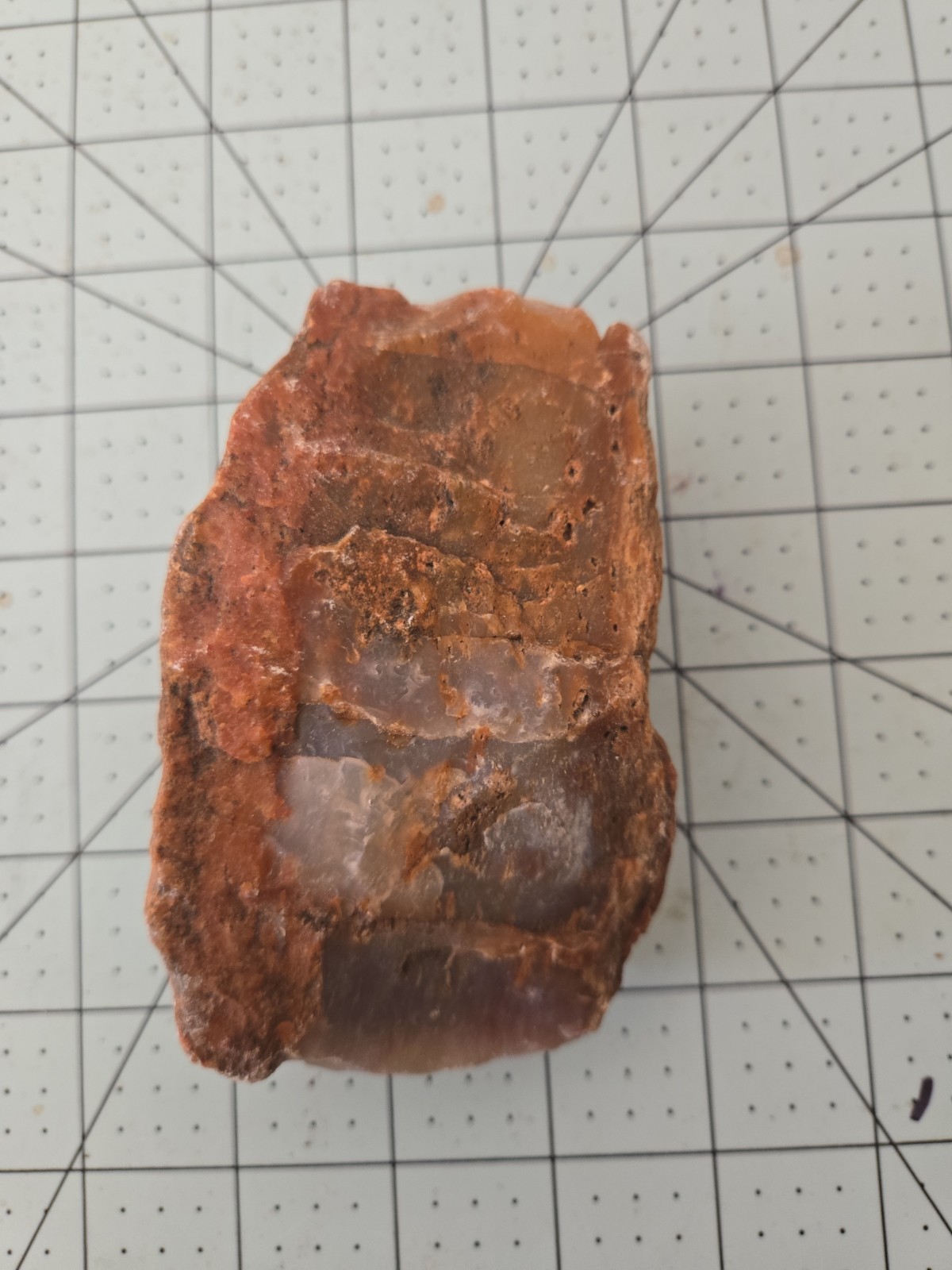 Arizona Petrified Wood 3.25″ X 2.25″ X 1.25 Inch Multi Color