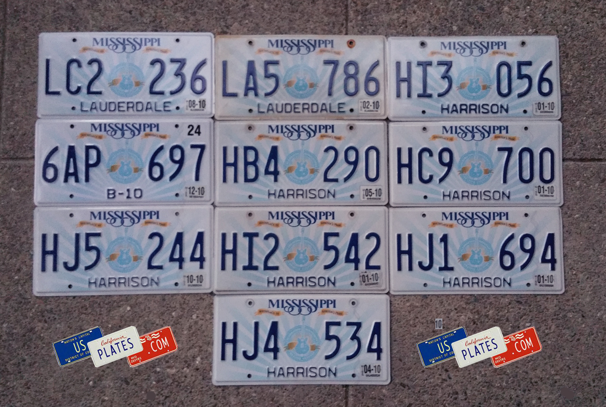 10 MISSISSIPPI GUITAR GRAPHIC LICENSE PLATES TAGS DECOR BULK SET LOT ART MUSIC
