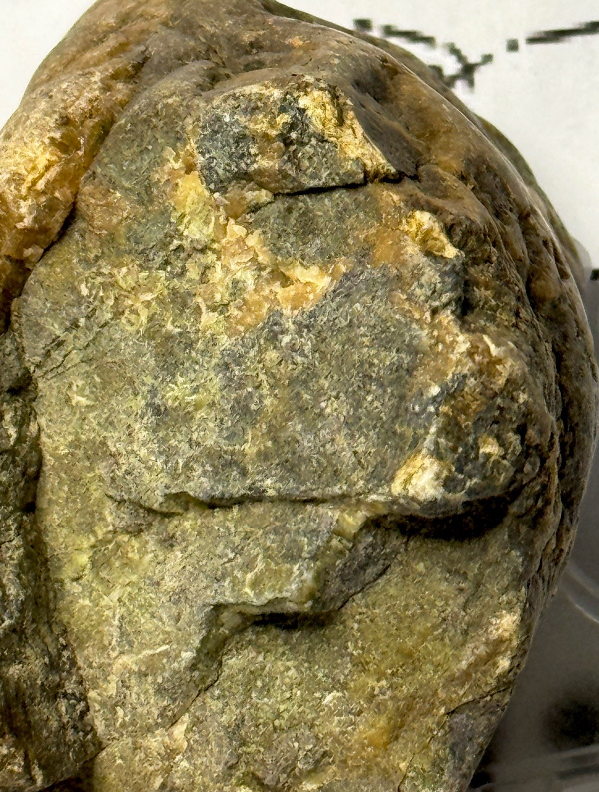 Native American Indian Authentic Stone Effigy Carved Stone , 9.5 oz • VA