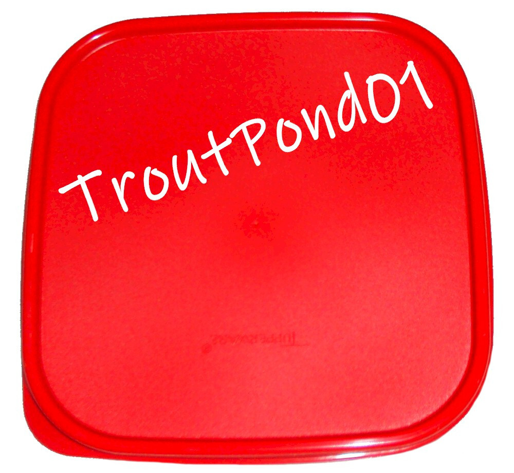 Tupperware Modular Mates Square Replacement Lid Seal Red 7 in x 7 in