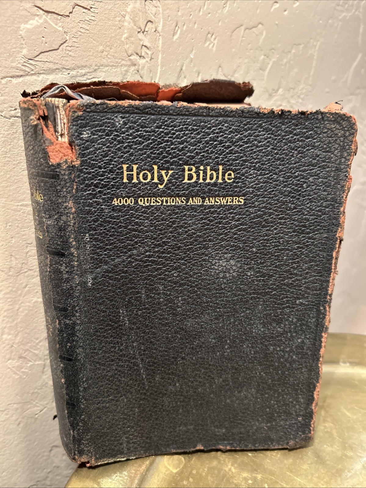 1901 Holy Bible ASV Old & New Testament Illustrated Thomas Nelson Leather