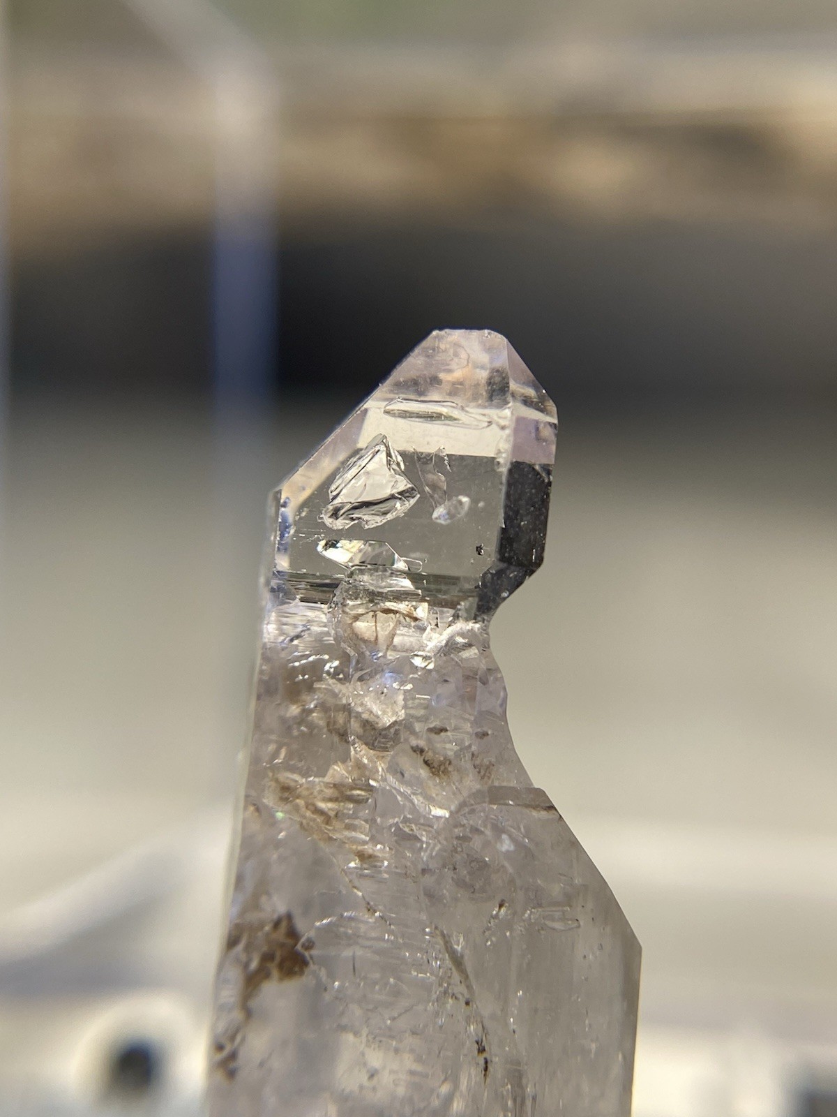 Natural Clear Scepter Quartz – Scepter Hill, Arizona – Perky Box Display
