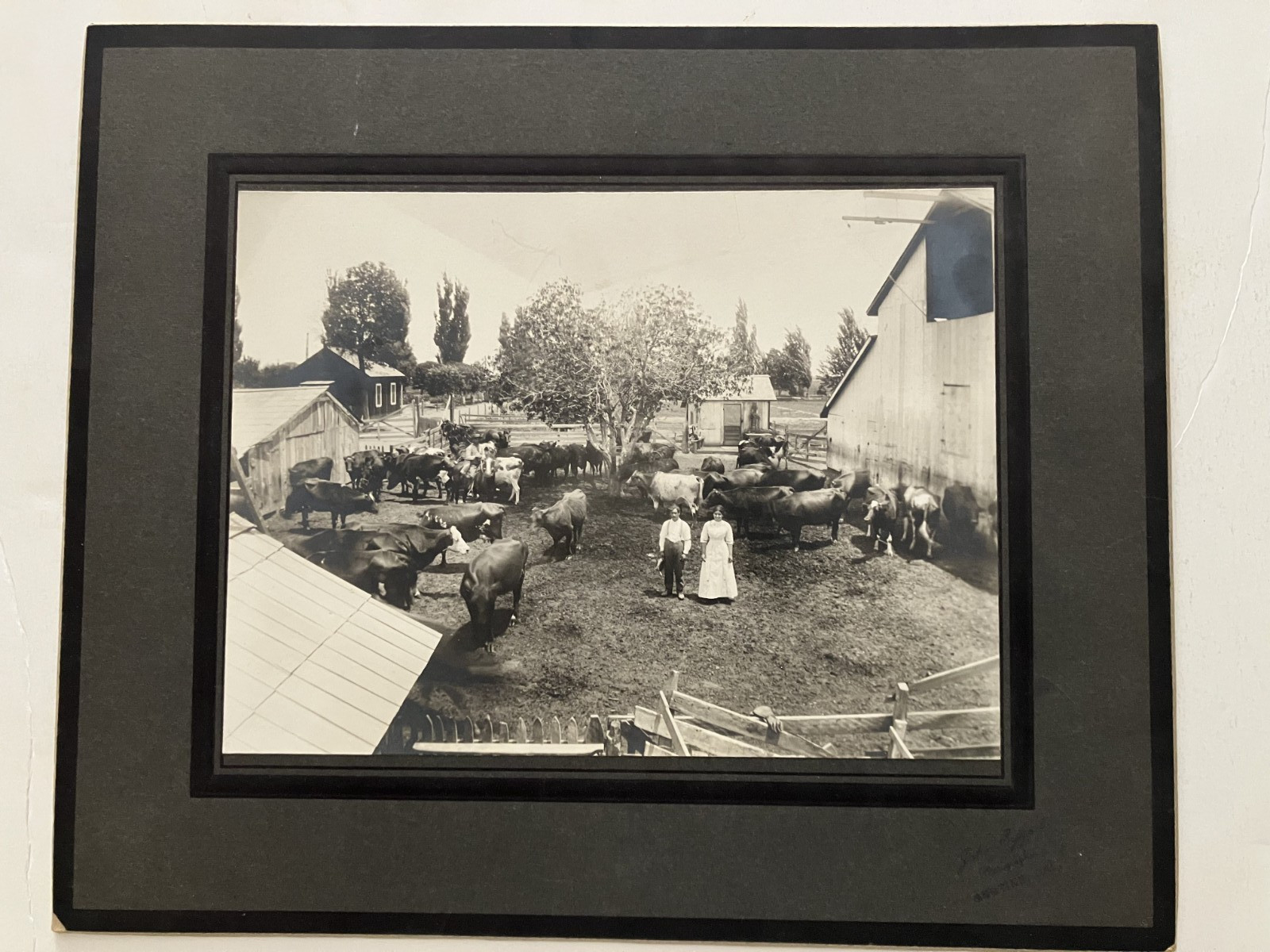Vintage early 1900’s unknown Dairy Ranch with couple Photo Gustine California