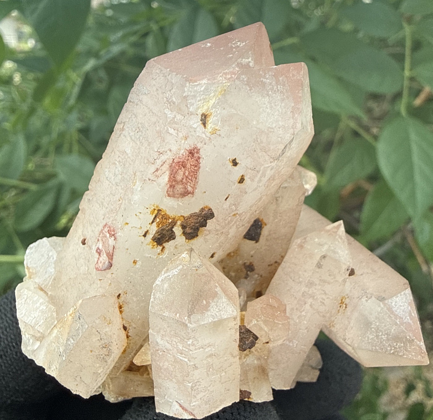 Natural A+ Himalayan Pink Hematite Quartz Cluster! Crystals,Minerals