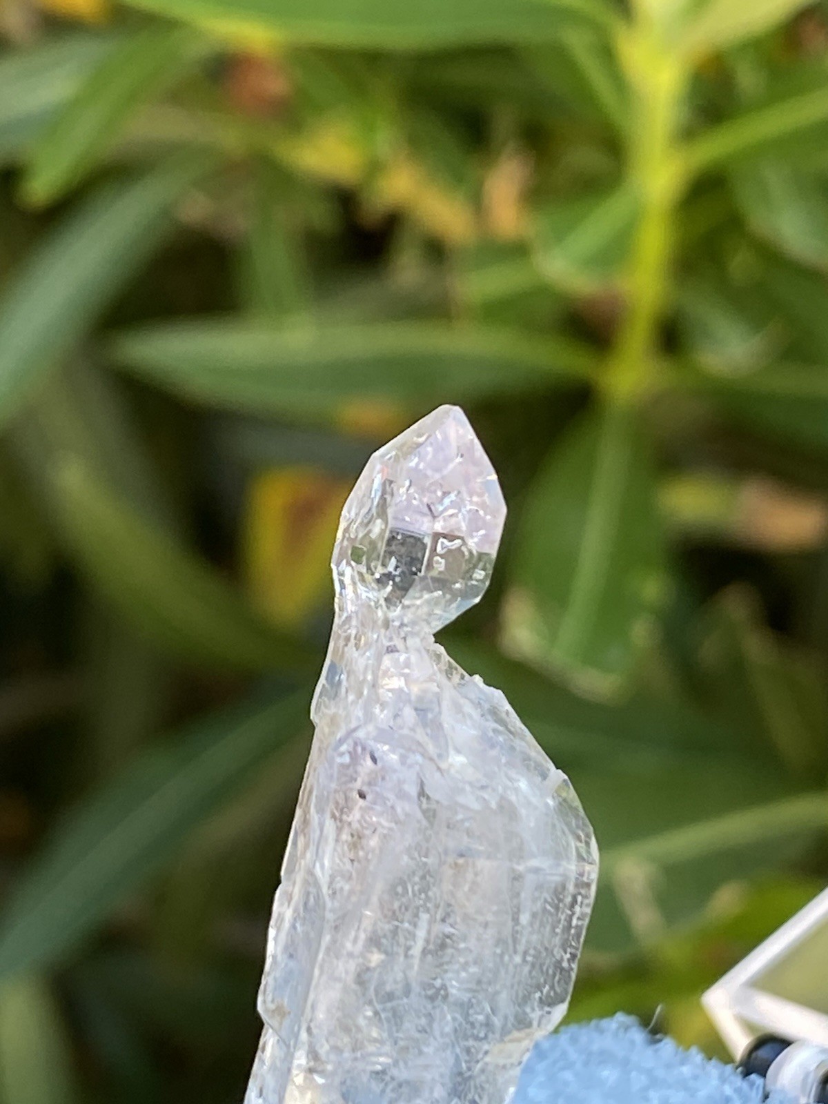 Natural Clear Scepter Quartz – Scepter Hill, Arizona – Perky Box Display