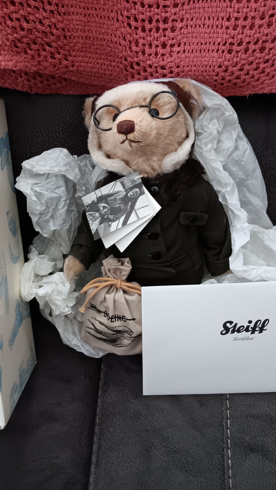 100th anniversary teddy roosevelt Boeing Steiff
