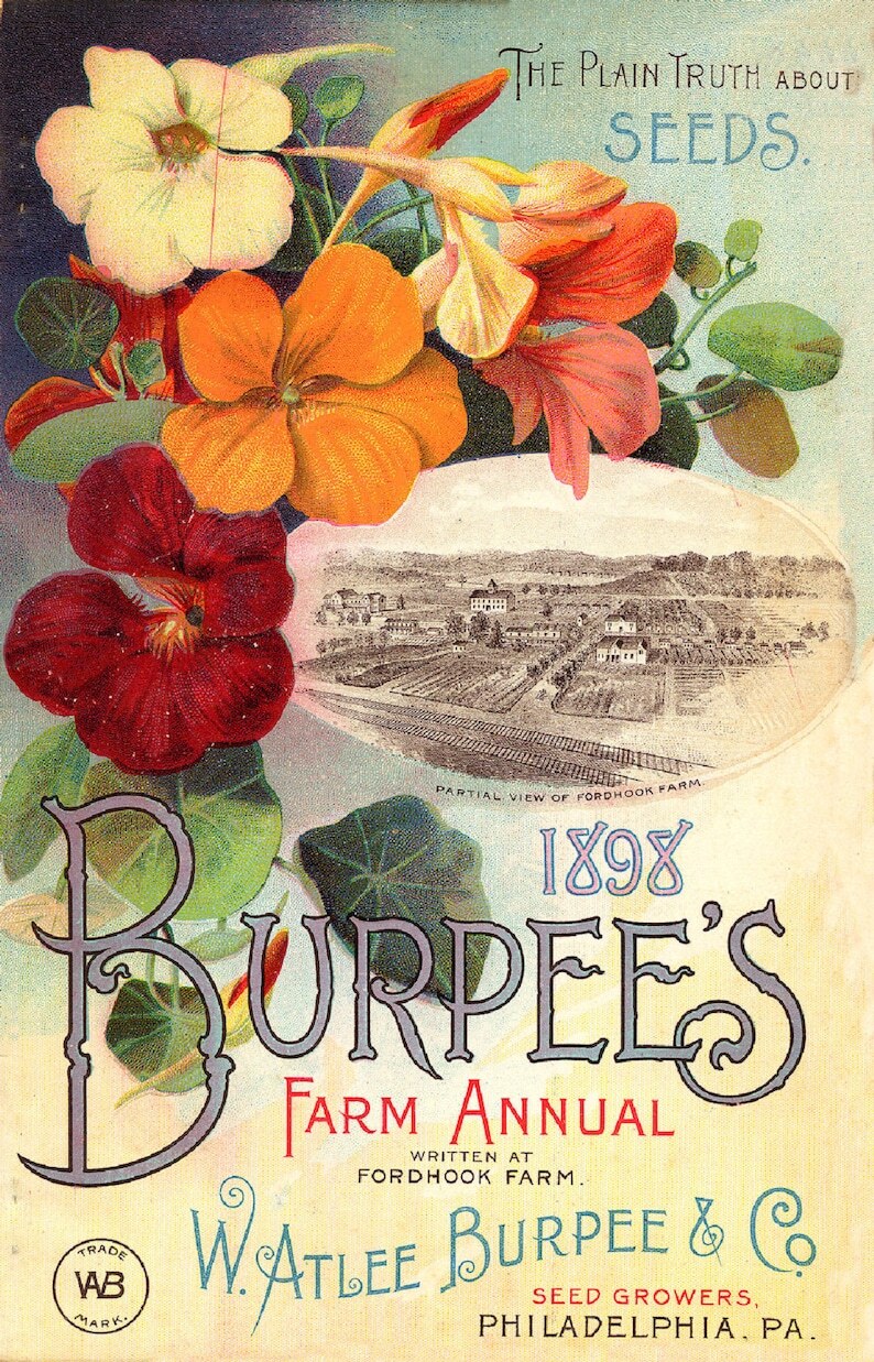 Vintage Burpee’s 1898 Seed Co. Reproduction Print Advertising 17×12