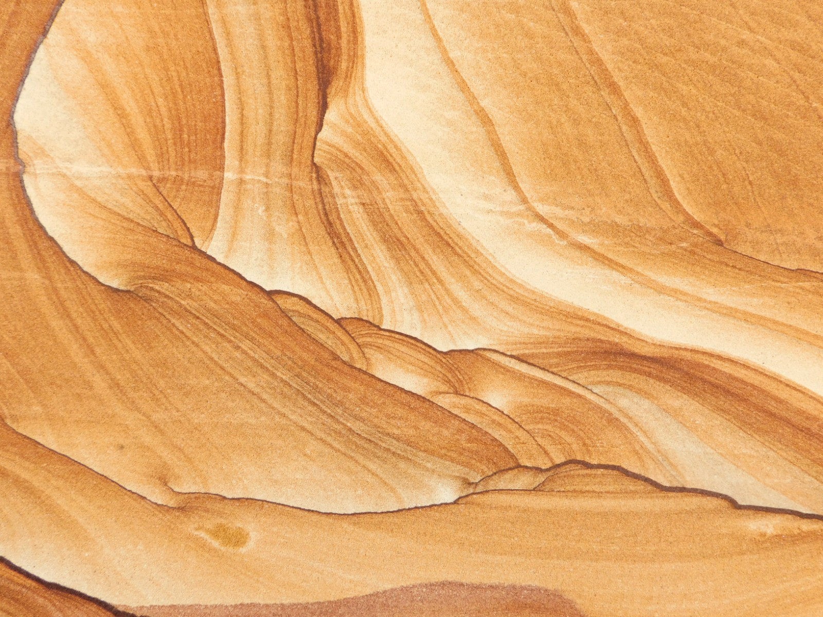 LARGER! PICTURE Stone / SANDSTONE Slice/Slab with Display Stand Utah 566gr