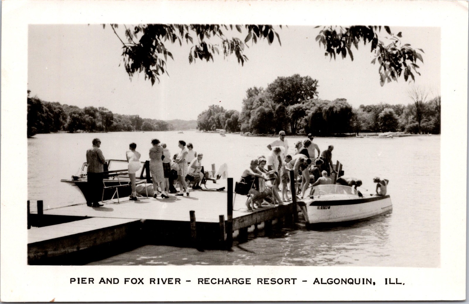 PC6555 IL Illinois Algonquin Fox River McHenry & Kane County Postcard RPPC