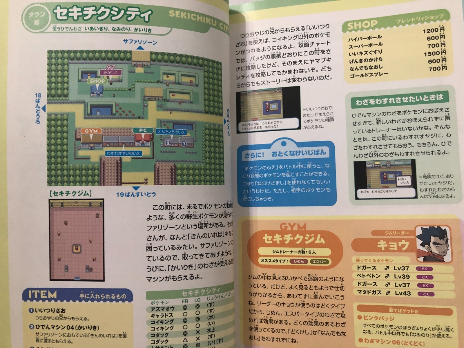 Pokémon FireRed and LeafGreen Strategy Book GAME BOY ADVANCE Japanese Used
