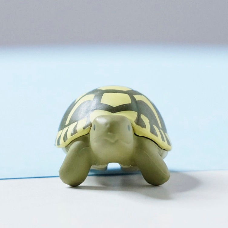 Hermann’s Tortoise Figure Turtle Reptiles Vol 3 Hugcot Cable Holder Gashapon Toy