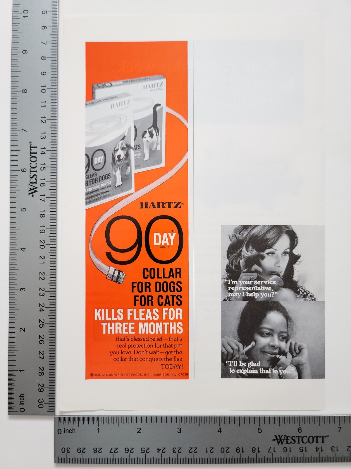 Authentic Hartz 90 Day Flea Collar Vintage Magazine Ad Pet Ephemera