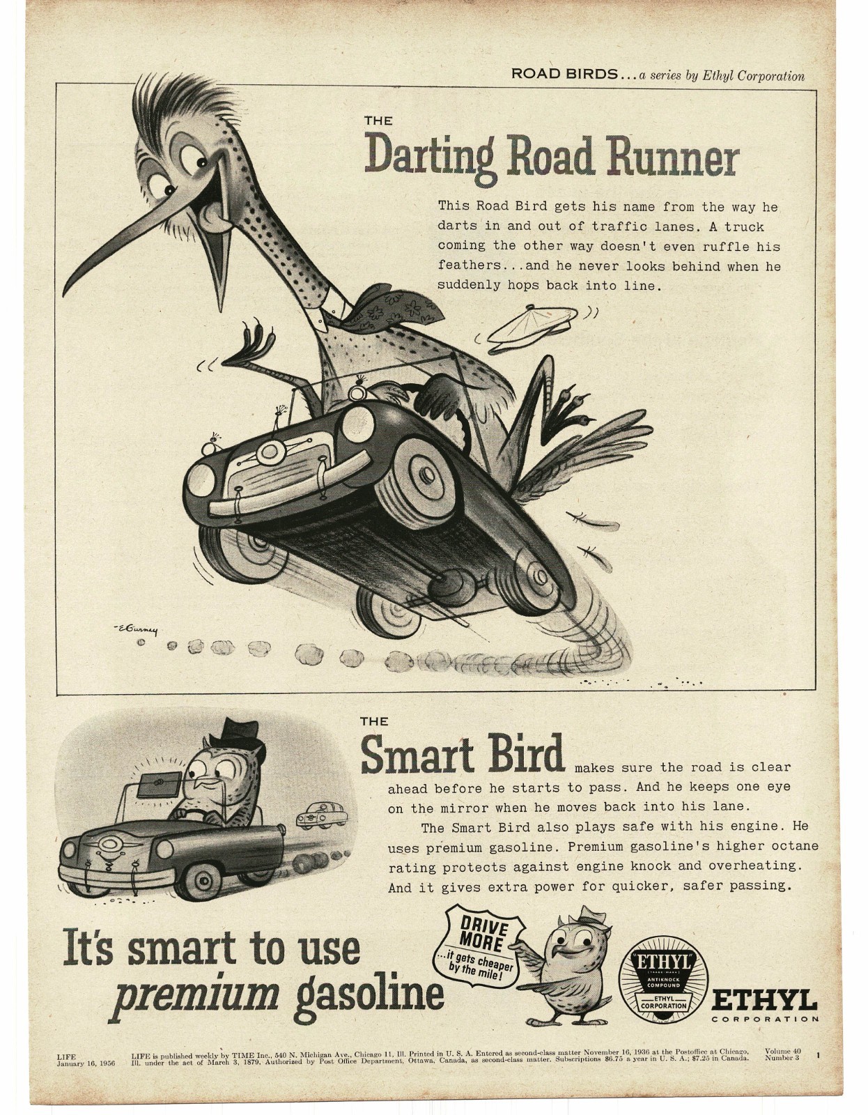 1956 Ethyl Corp Gas Co. Ad road birds Darting Road Runner comic art Eric Gurney