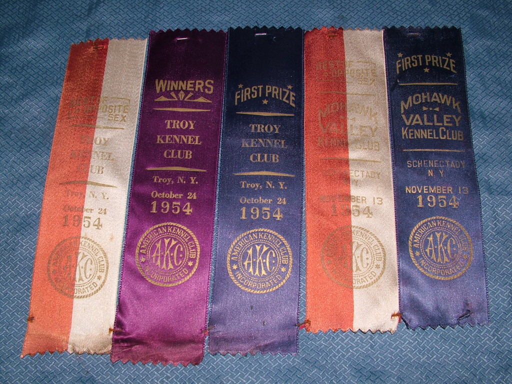 VINTAGE 5 1954 AKC TROY SCHENECTADY MOHAWK RIBBONS