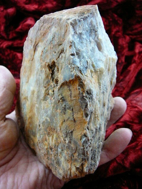 (DF843-107) 2.5 pounds Fossil REAL DINOSAUR POOP Coprolite Dino genuine DUNG Poo