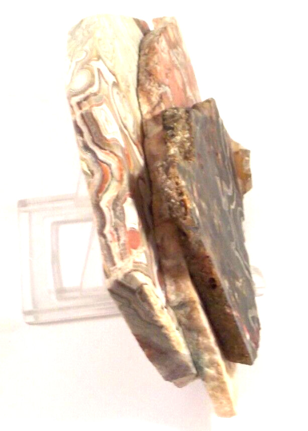 3 Cool Crazy Lace Agates Great Lapidary Total 9.6 Ounces 1st Picture Wet #3435