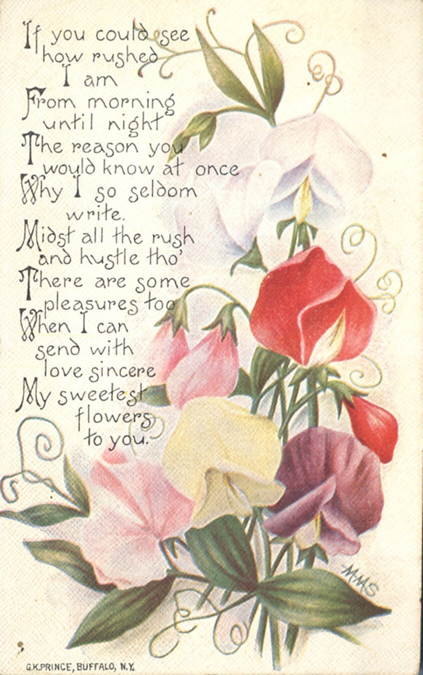Sweet Flowers to You 1910 G K Prince Copyrighted Art Postcard SCARCE