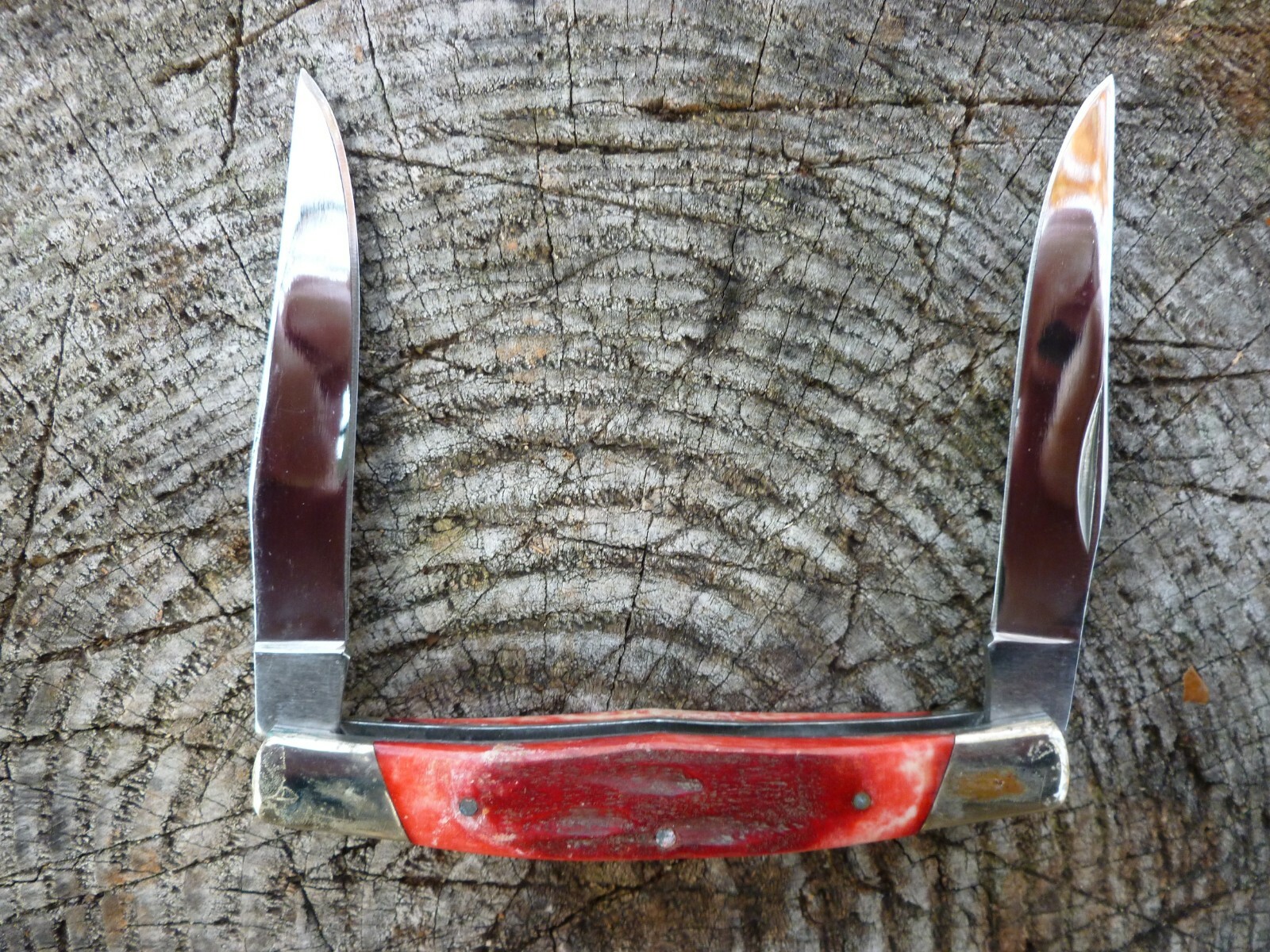 Beaver Brand Red Bone Muskrat NEW!!