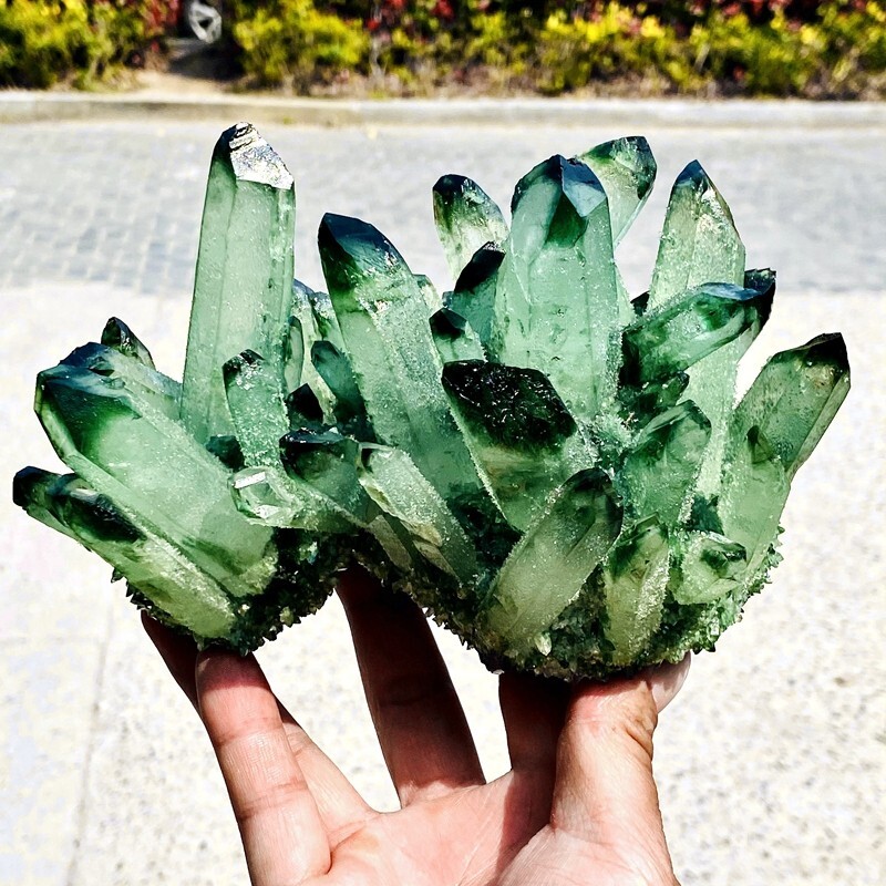 3.41LB Rare Mexican green crystal cluster quartz crystal mineral specimen