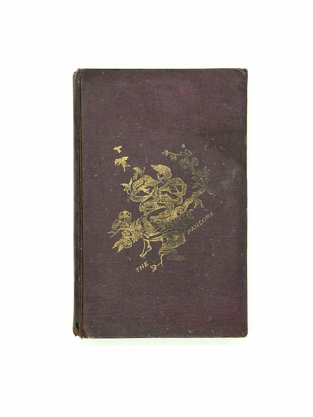 Rare 1892 University Of Georgia Pandora Yearbook~Antique Book~UGA College Annual