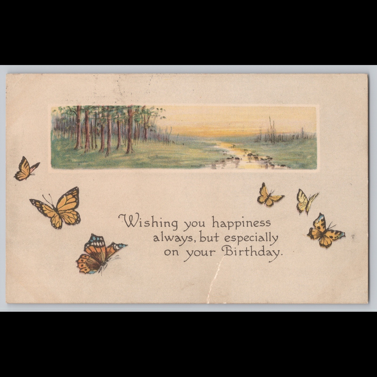 Postcard Wishing You Happiness Birthday Butterflies Richmond MO 1917
