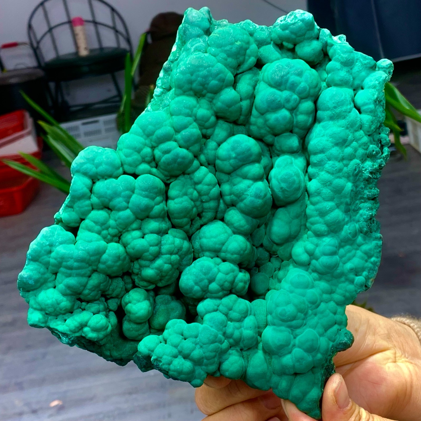 3.79LB Natural VELVET Malachite cat’s eye specimen crystal mineral-Congo A741