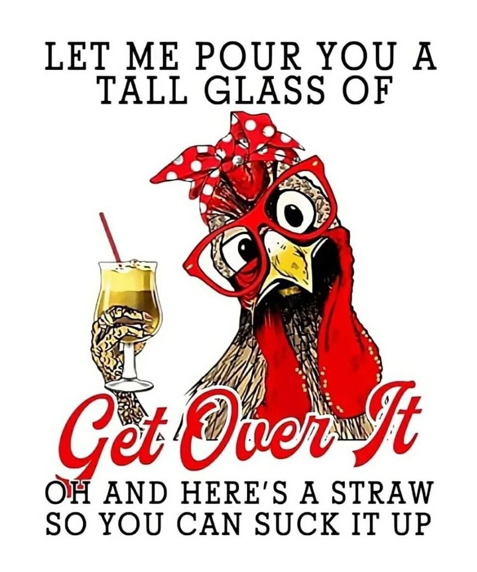 FUNNY CHICKEN MEME Fridge Magnet Decal Poster Metal Sign
