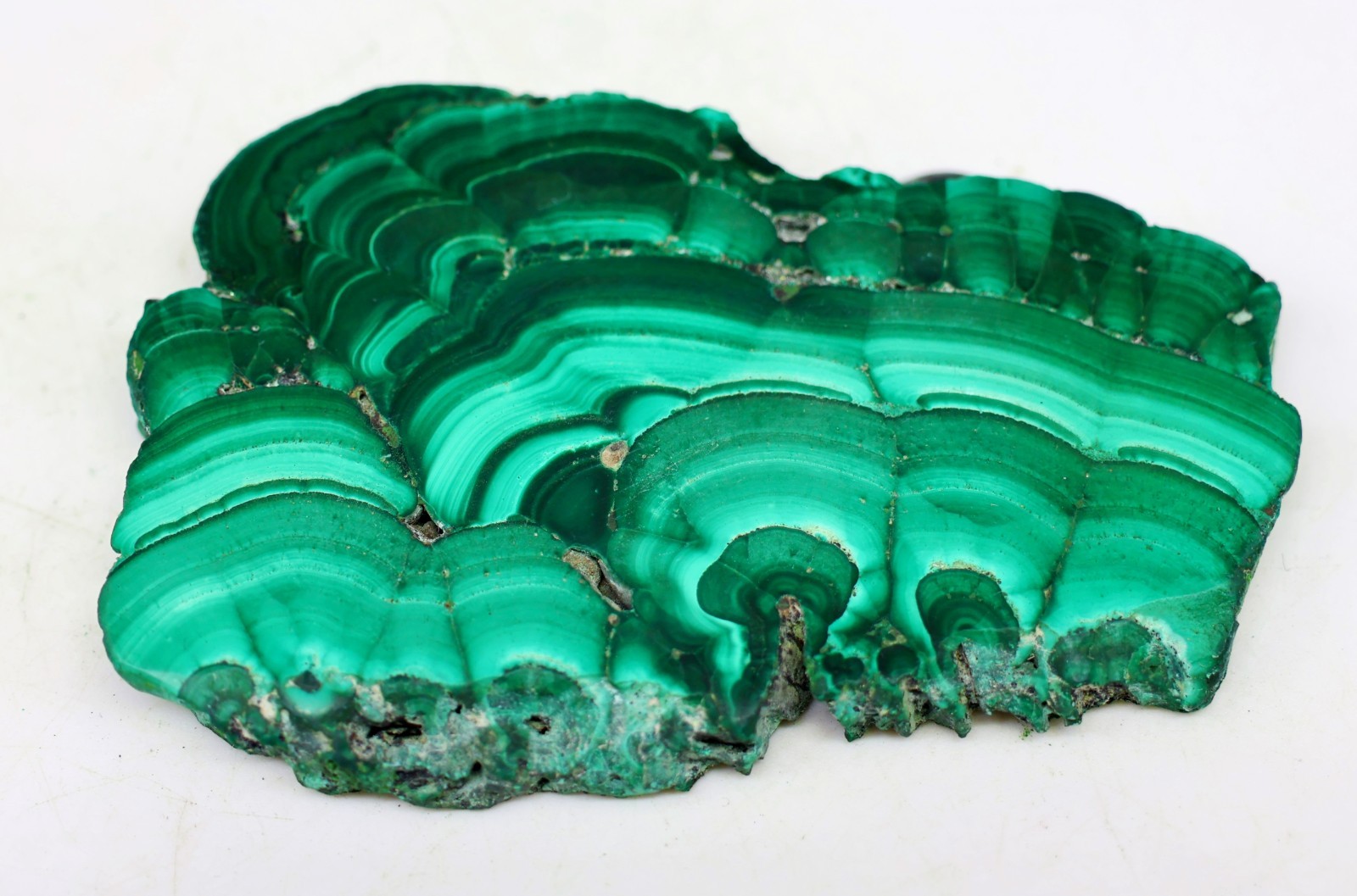 301 Ct 7X45X69 mm Natural Designer Malachite Rough Polish Slice Gemstone MJ-273