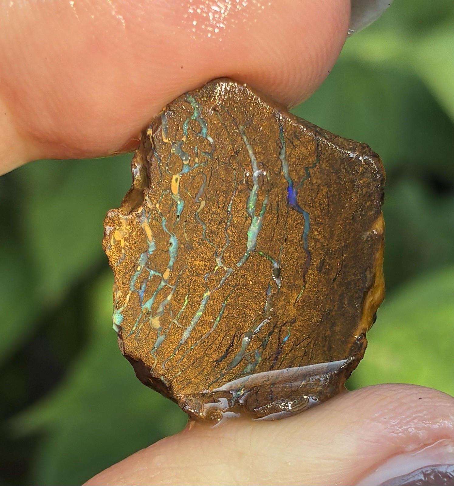 24ct Pretty Australian Boulder Opal Rough Loose Double Sided Specimen A30