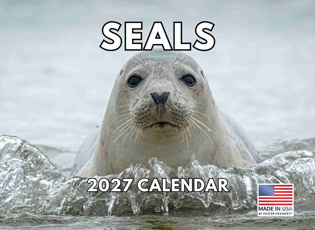 Seal Calendar 2027 Monthly Wall Calender 12 Month Ocean Sea