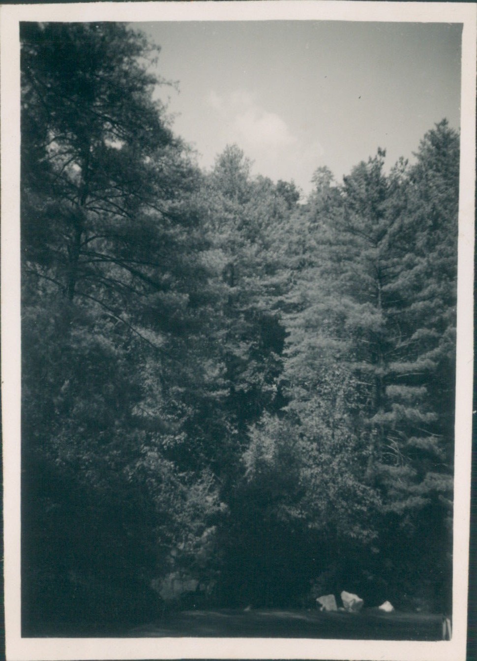 Photo Pakistan 1949 Murree Hills RAF Topa Hill Depot lower Topa Pine Forests