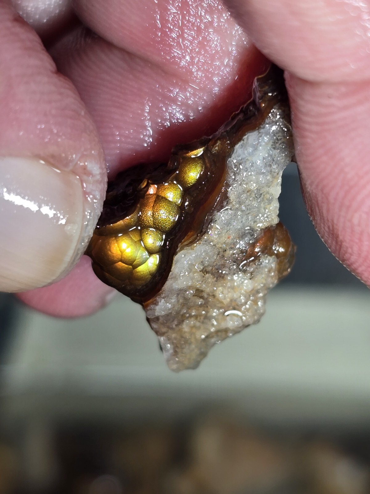 Small but Powerful 2+ Ounce Lots High Grade Fire Agate Very Colorful Blind Grab