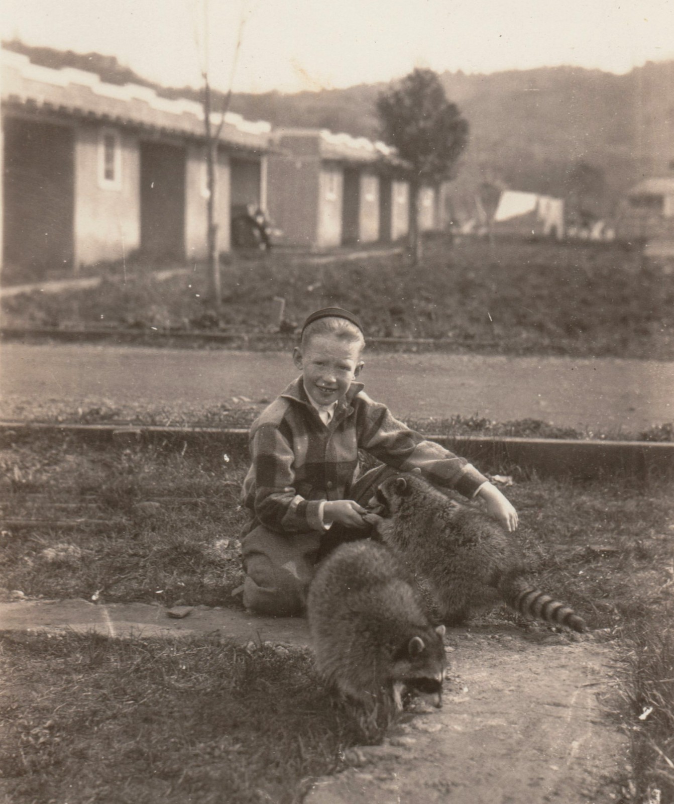 Vintage Boy With Pet Raccoons Photo Animal Snapshot c1940s 1950s